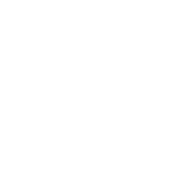 Zahlung Visa