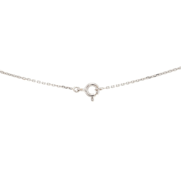 78981_Product